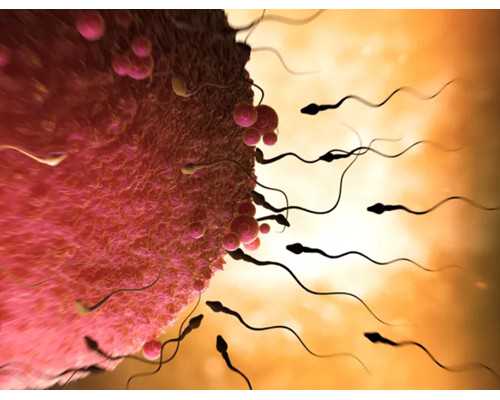 北京代生贵不贵,北京哪里单身女可以做冻卵,北京单身女子冻卵