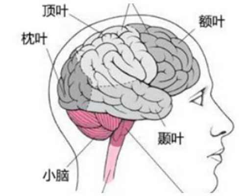 北京供卵试管如何避坑,北京供卵哪家医院好_移动服务器 dota2