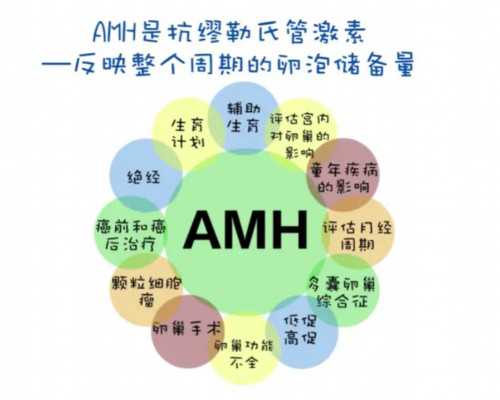 北京专业正规代怀,北京301医院试管成功率高吗附2024单周期试管成功率