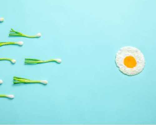 助孕可以助孕吗-安徽助孕助孕