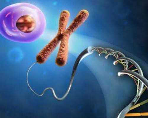 北京代怀孕供卵试管网 北京家恩德运 ‘怎么样用b超看男女’