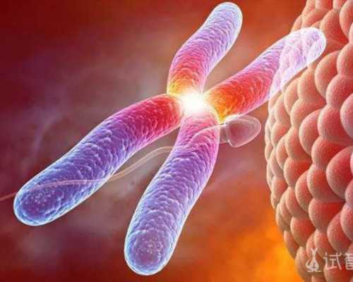 北京做试管代生过程,北京大学第一医院做试管前要检查哪些项目北京大学第一